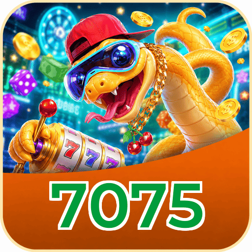 7075 Plataforma FAQ